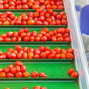 Lightweight Conveyor Belt Sales